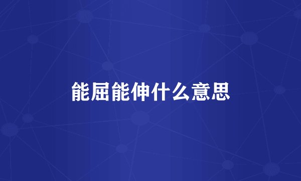 能屈能伸什么意思