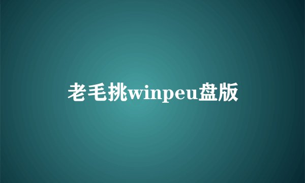 老毛挑winpeu盘版