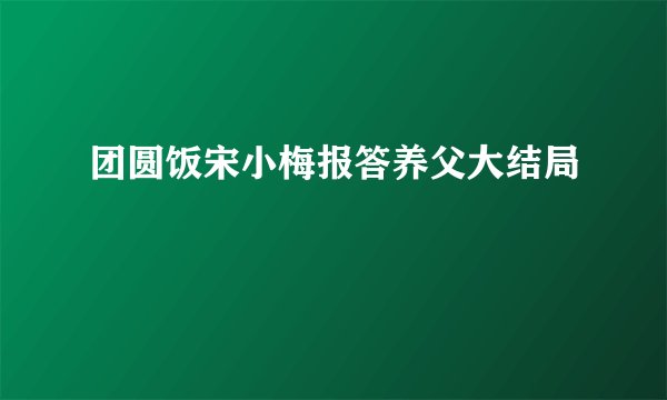 团圆饭宋小梅报答养父大结局