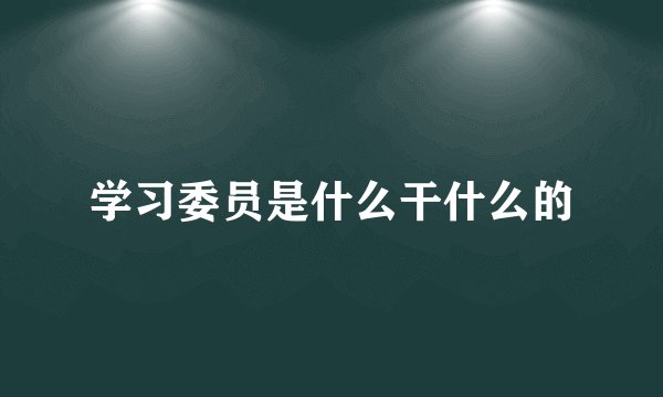 学习委员是什么干什么的