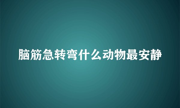 脑筋急转弯什么动物最安静