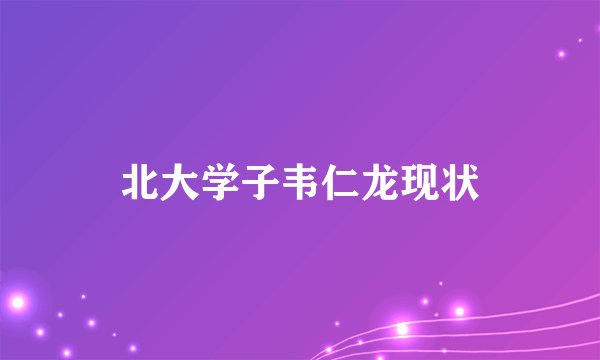 北大学子韦仁龙现状