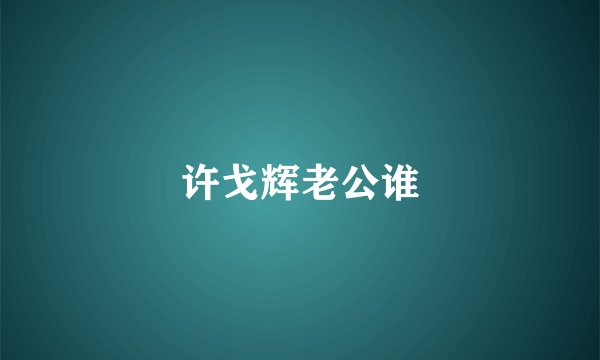许戈辉老公谁