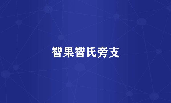 智果智氏旁支