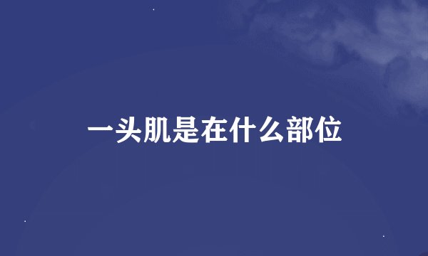 一头肌是在什么部位