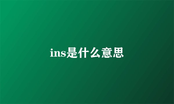 ins是什么意思