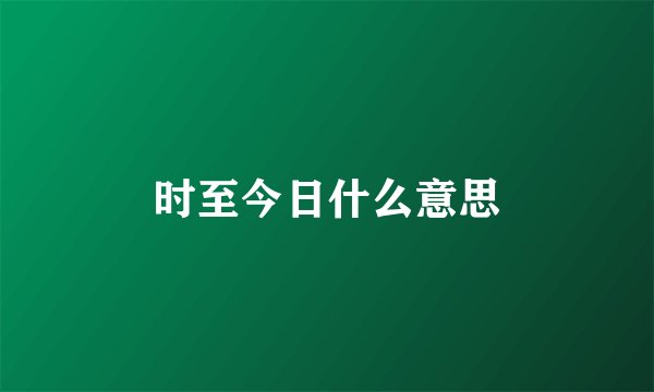 时至今日什么意思