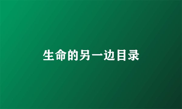 生命的另一边目录