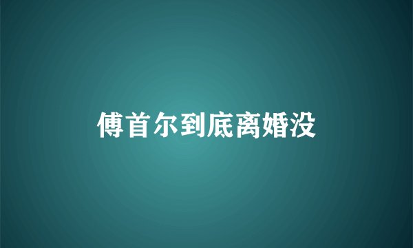 傅首尔到底离婚没
