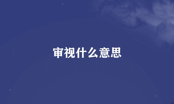 审视什么意思