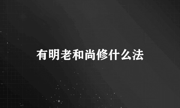 有明老和尚修什么法