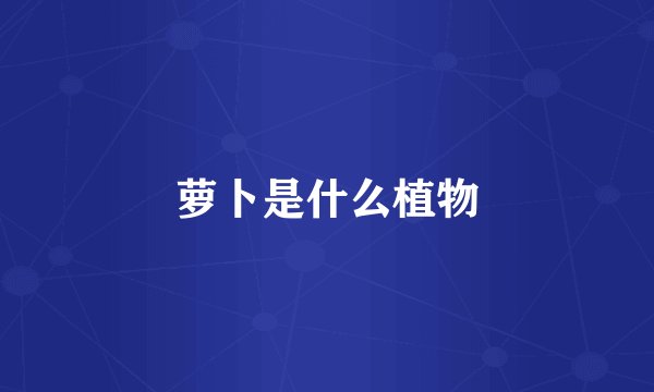 萝卜是什么植物