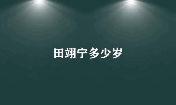 田翊宁多少岁