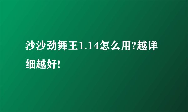 沙沙劲舞王1.14怎么用?越详细越好!