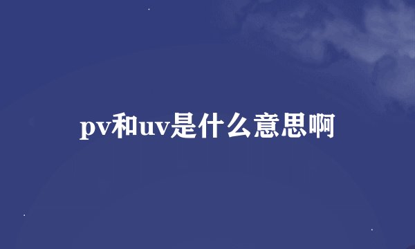 pv和uv是什么意思啊