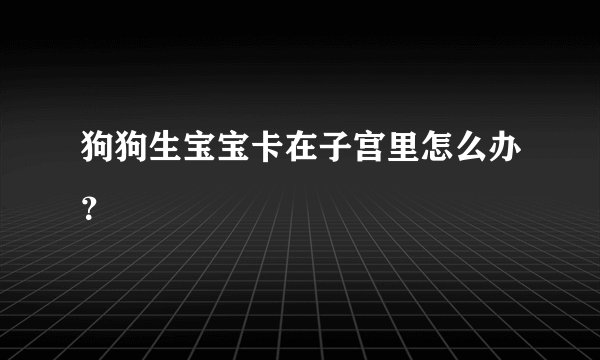 狗狗生宝宝卡在子宫里怎么办?