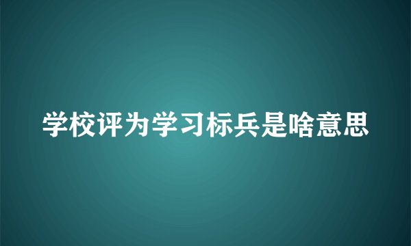 学校评为学习标兵是啥意思