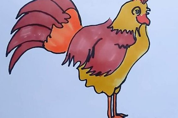 简笔公鸡的画法