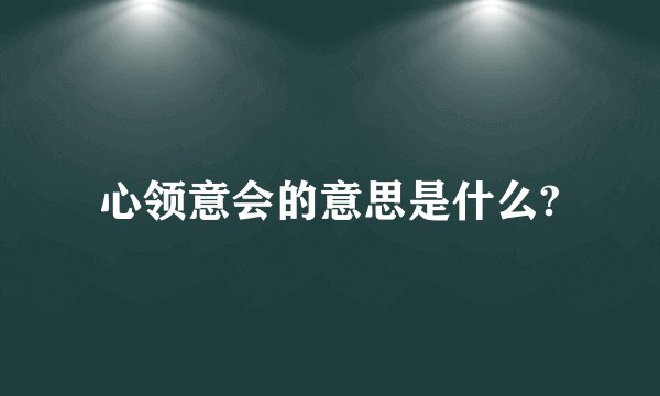 心领意会的意思是什么?