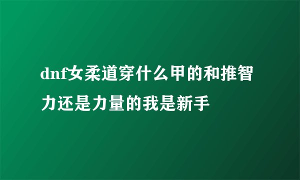 dnf女柔道穿什么甲的和推智力还是力量的我是新手
