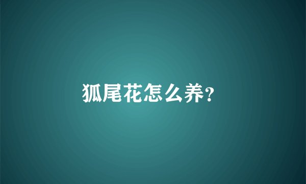 狐尾花怎么养？