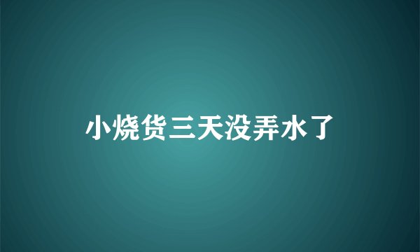 小烧货三天没弄水了