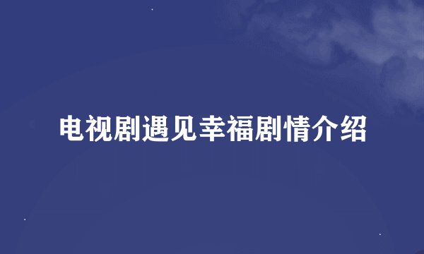 电视剧遇见幸福剧情介绍