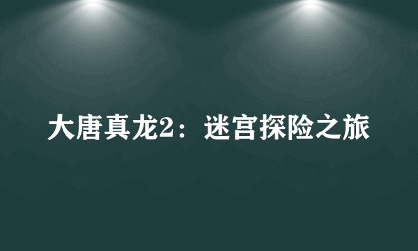 大唐真龙2：迷宫探险之旅
