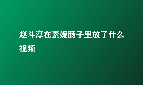 赵斗淳在素媛肠子里放了什么视频