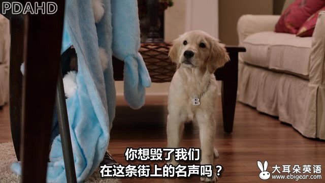 恐怖狗狗的剧情介绍