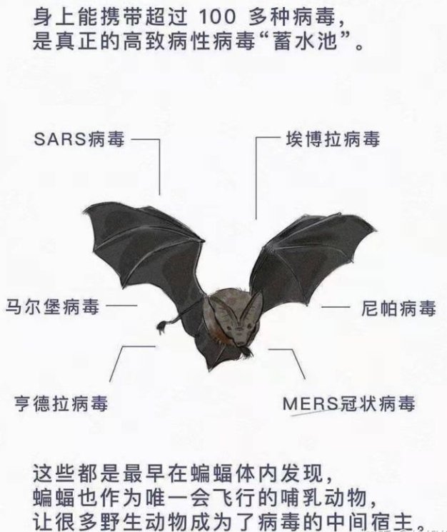 武汉菜市场卖野生青蛙，其市监局是如何回应此事的？