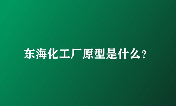 东海化工厂原型是什么？
