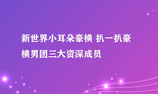 新世界小耳朵豪横 扒一扒豪横男团三大资深成员