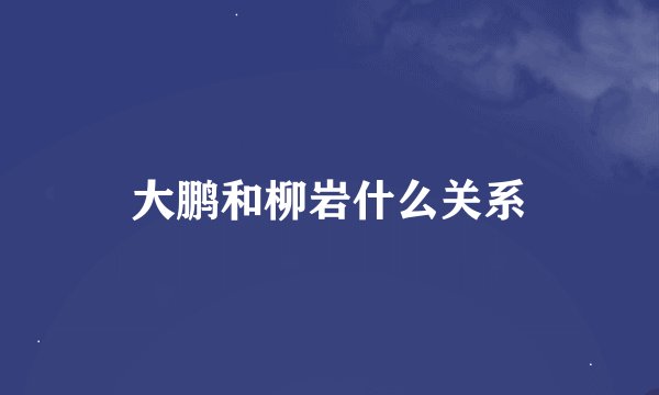 大鹏和柳岩什么关系