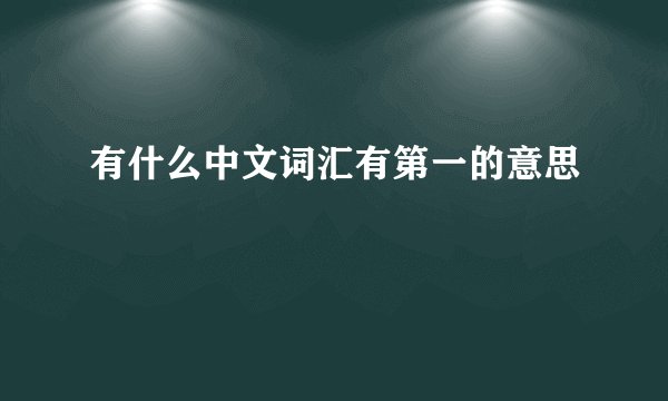 有什么中文词汇有第一的意思