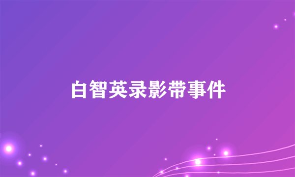 白智英录影带事件