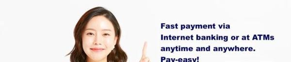 日本第三方支付收款平台payeasy介绍