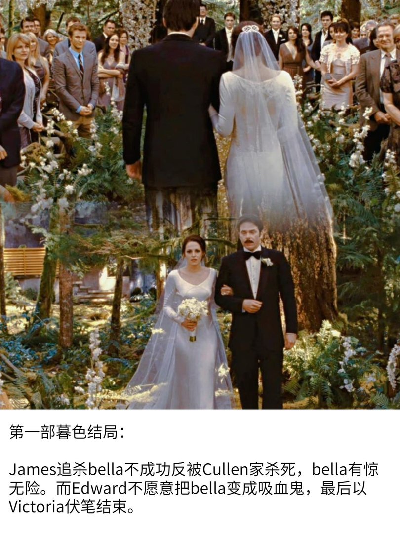暮光之城结局怎么样的?