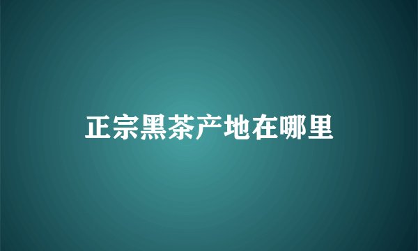 正宗黑茶产地在哪里