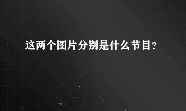 这两个图片分别是什么节目？