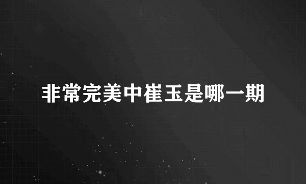 非常完美中崔玉是哪一期