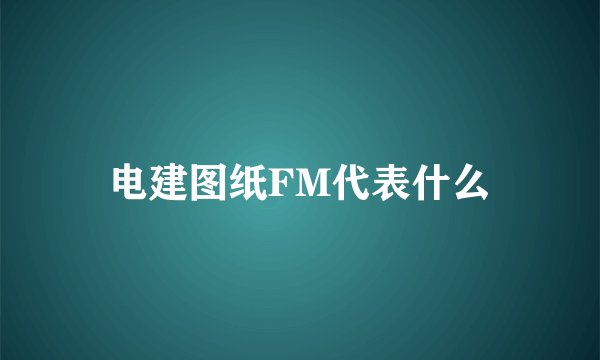 电建图纸FM代表什么