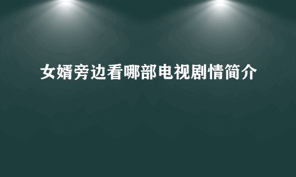 女婿旁边看哪部电视剧情简介