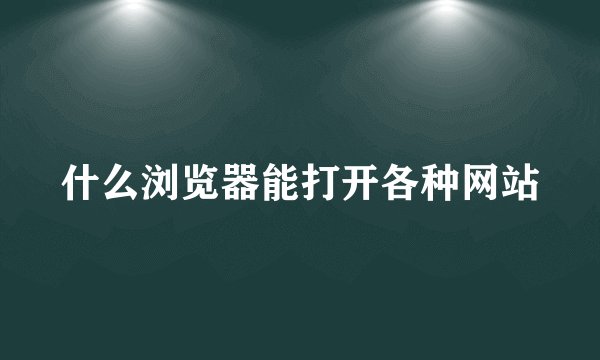 什么浏览器能打开各种网站