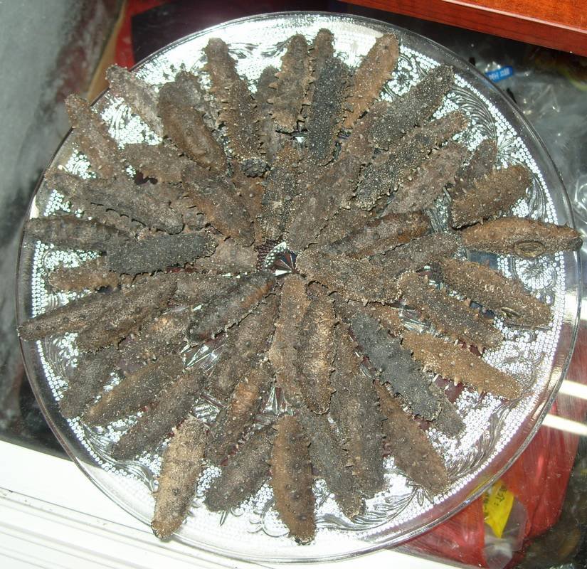 辽参一般多少一斤