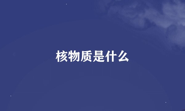 核物质是什么