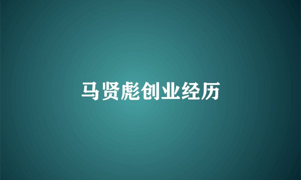 马贤彪创业经历
