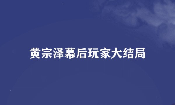 黄宗泽幕后玩家大结局