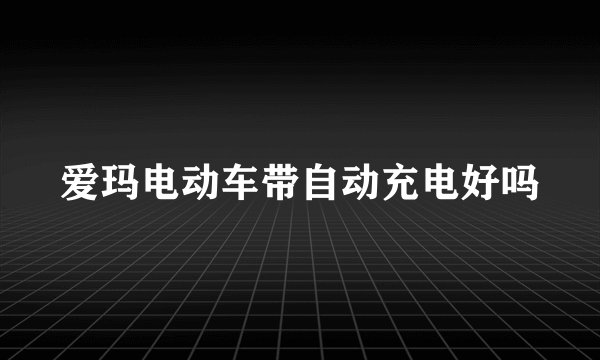 爱玛电动车带自动充电好吗