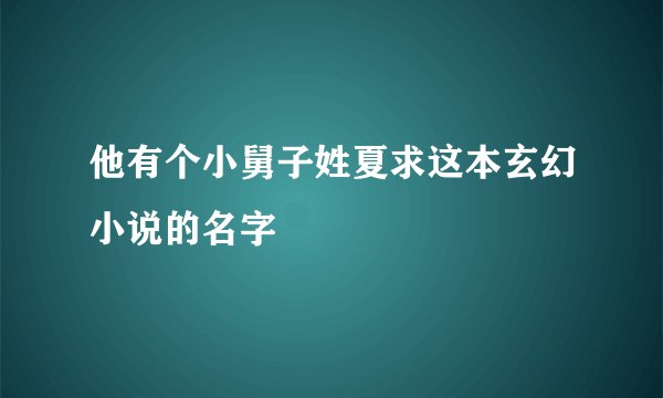 他有个小舅子姓夏求这本玄幻小说的名字